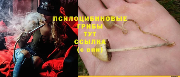 прущая мука Абинск