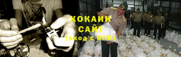 тгк Абаза