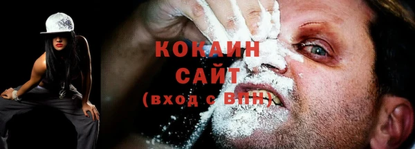 индика Абдулино