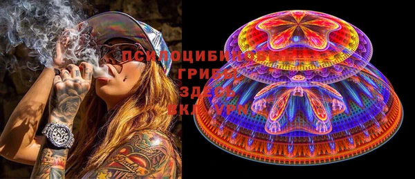 индика Абдулино
