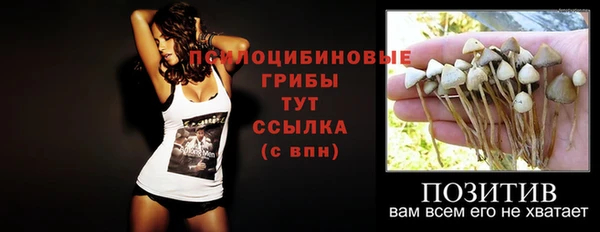 тгк Абаза