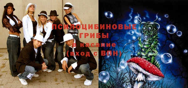 индика Абдулино