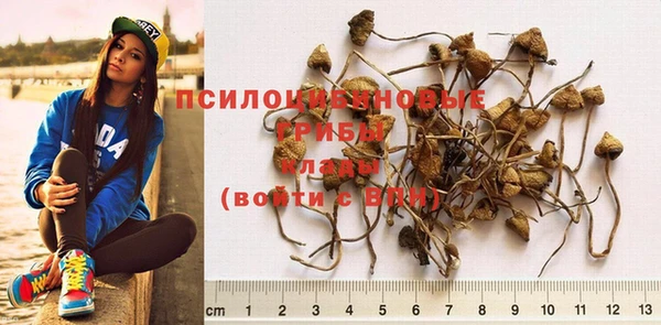индика Абдулино