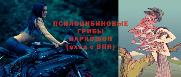 индика Абдулино
