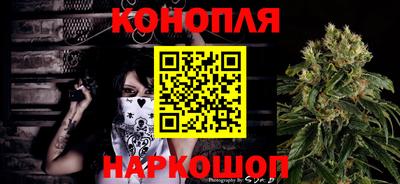 гидра Надым