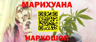 гидра Надым