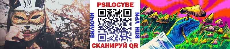 darknet клад  где найти наркотики  MEGA ссылка  Балаково  Псилоцибиновые грибы Cubensis 