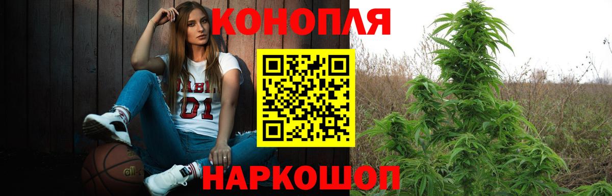 Марихуана план  Вход с VPN  Балаково  Конопля индика  Бошки марихуана марихуана  Марихуана индика 